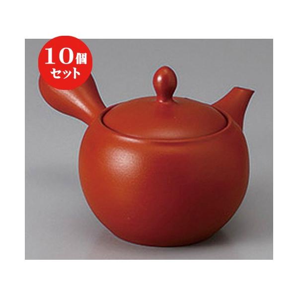 10Zbg  튊}{ Dی^n}{(A~) [ 330cc ] y   aH HX Ɩp z