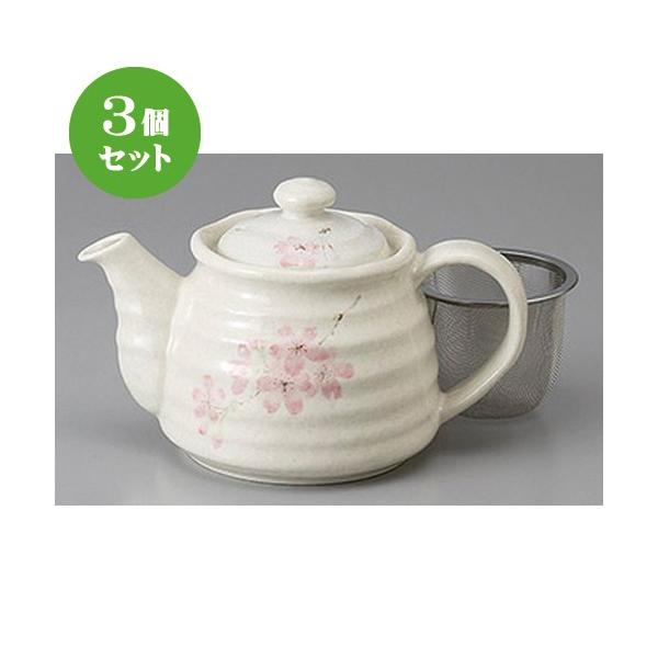 3Zbg |bg uQ.T|bg JSA~ [ 450cc ] y  JtF aH HX Ɩp z