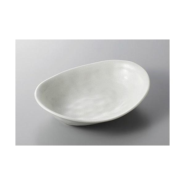 T[rXv[g J[ [23.5 x 18 x 5.1cm]    aH HX Ɩp