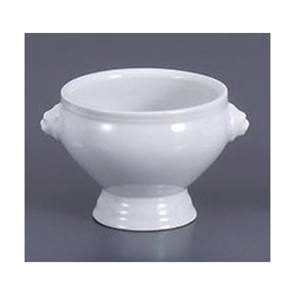 X[vJbv CIgt() [10.3 x 12.9 x 8.2cm 300cc]    aH HX Ɩp