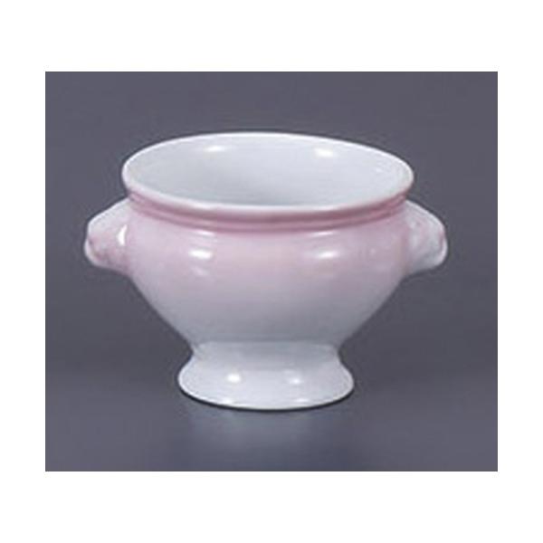 X[vJbv CIgt()sN [11.8 x 9.8 x 7.3cm 250cc]    aH HX Ɩp