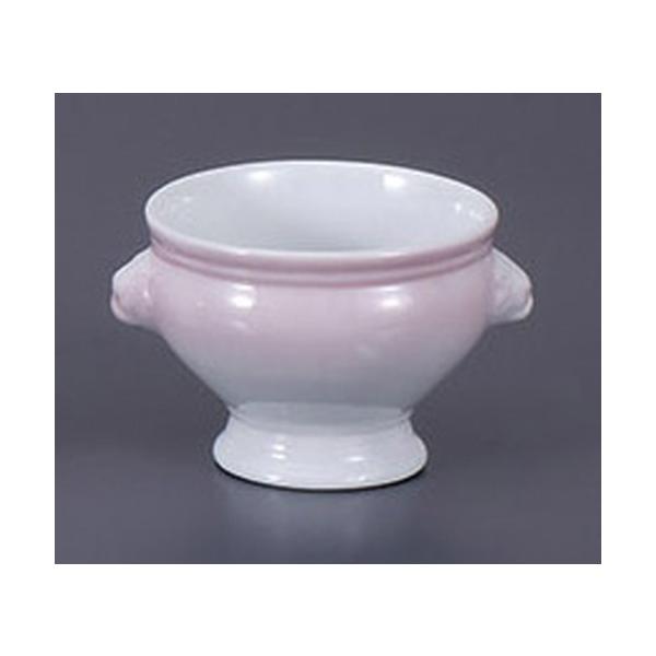 X[vJbv CIgt()sN [13 x 10.8 x 8.5cm 360cc]    aH HX Ɩp