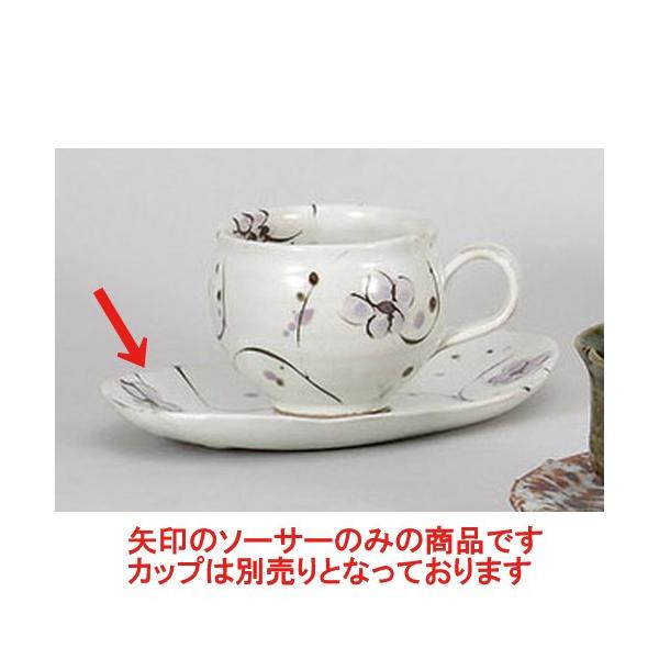 qM ԃR[q[M [19 x 12cm] y   aH HX Ɩp