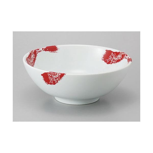 ؘ ԎO6.3 [18.7 x 7.7cm 980cc]    aH HX Ɩp