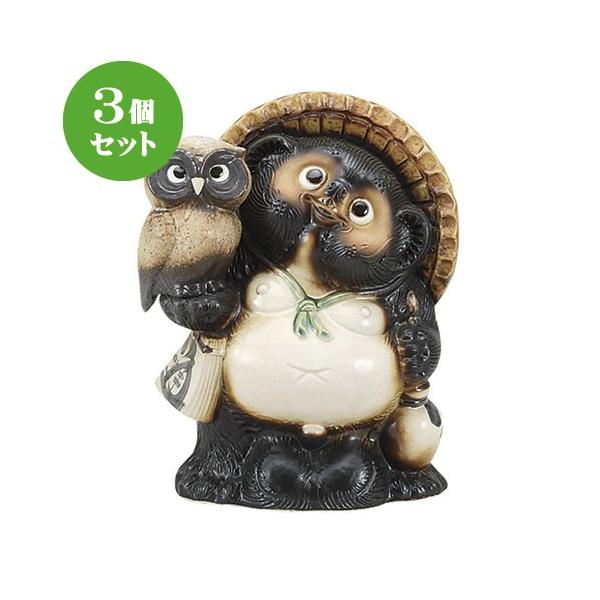 3Zbg u ÐMyӂ낤tKPO [ 24 x 18 x 31cm ] y CeA  u N K ^kL z