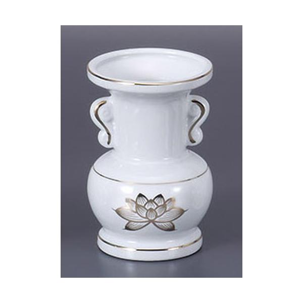  @5.5ʕԕr [16.8cm]   _ {  d ~ ފ