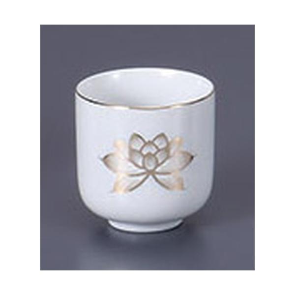  @2.4 [7.2 x 7cm]   _ {  d ~ ފ