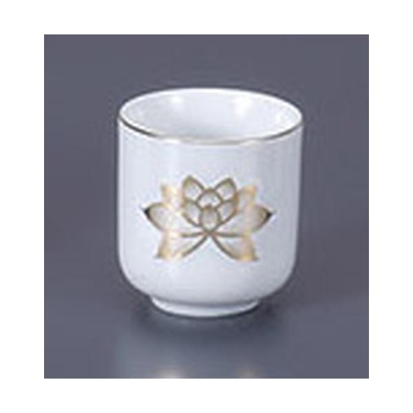  @1.6 [5 x 5.3cm]   _ {  d ~ ފ