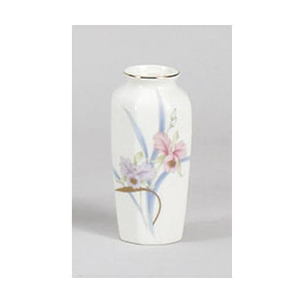  j[{JgApԕr [15cm]   _ {  d ~ ފ