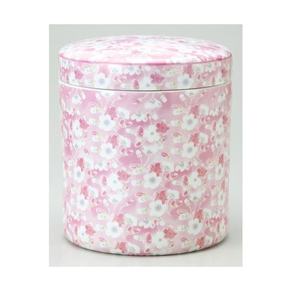  sN 6 [6]  _ {  d ~ ފ