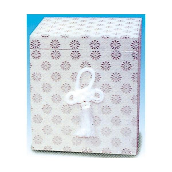  Lij 6 [6ٗp]  _ {  d ~ ފ