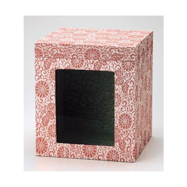  tij 6 [6ٗp]  _ {  d ~ ފ