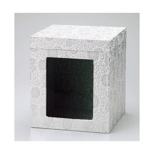  tij 5 [5ٗp]  _ {  d ~ ފ