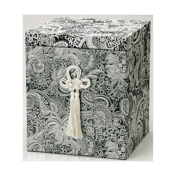  xVA  6 [6ٗp]  _ {  d ~ ފ