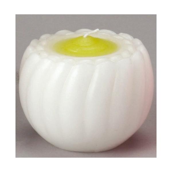  ԃ[\N䖳ij  _ {  d ~ ފ