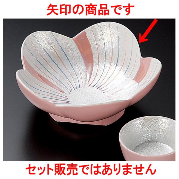 hg sNփX^[Ԍ^t [ 14.5 x 5.5cm ]   aH HX Ɩp