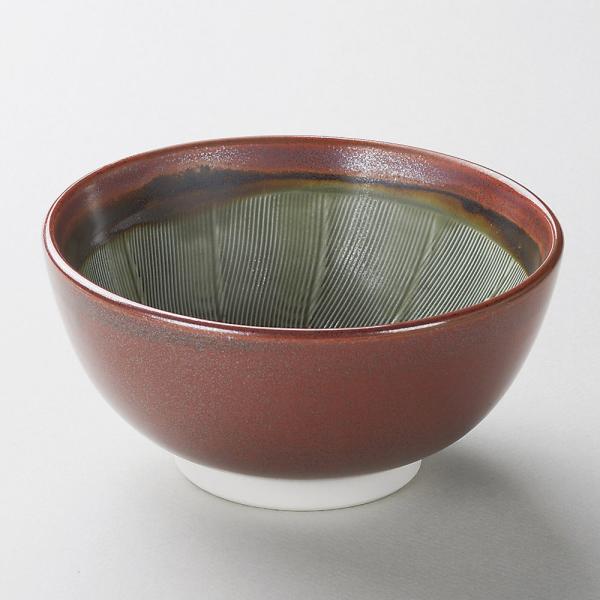 p ֐D6.0[iڕtj [ 18.3 x 9cm ]   aH HX Ɩp