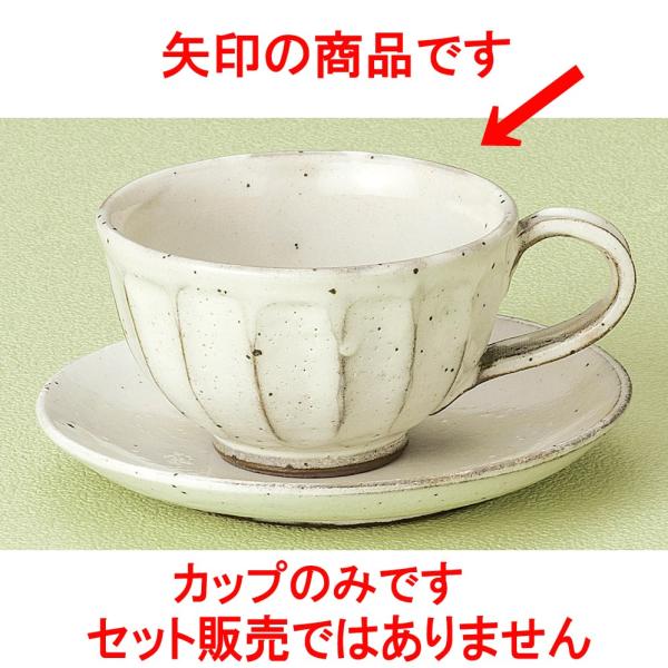 R[q[ ʎR[q[q [ 9.7 x 6cm 220 ]   aH HX Ɩp