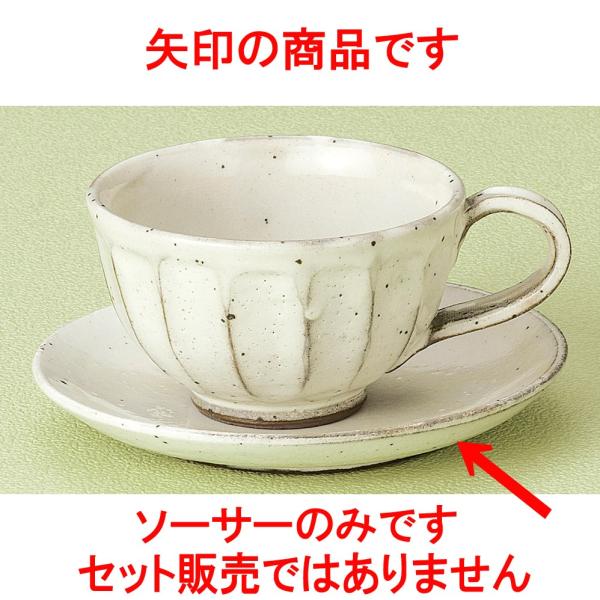 R[q[ ʎR[q[M [ 14 x 2cm ]   aH HX Ɩp