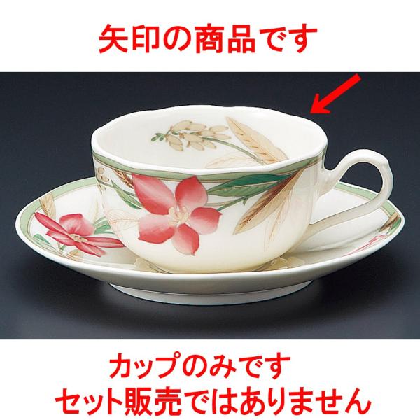 R[q[ }h[kNBgq [ 9 x 5cm 210 ]   aH HX Ɩp