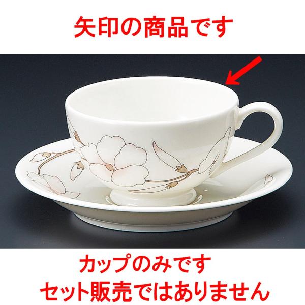 R[q[ NBH[Ogq [ 9.2 x 5.5cm 200 ]   aH HX Ɩp