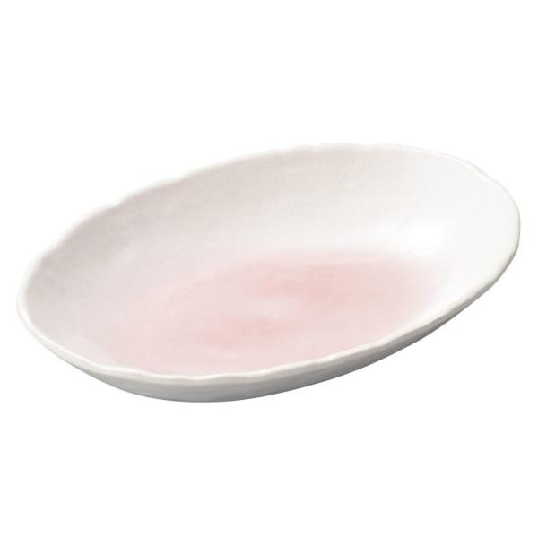 aH ȉ~M / sNJ[M @: 26.5 x 18 x 4cm | ȉ~M aH mH  Ɩp