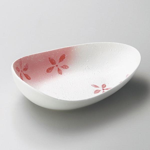 唫 X^[ԎU炵ό^T_{[sN [ 21 x 14.5 x 6.6cm ] |  aH mH  Ɩp