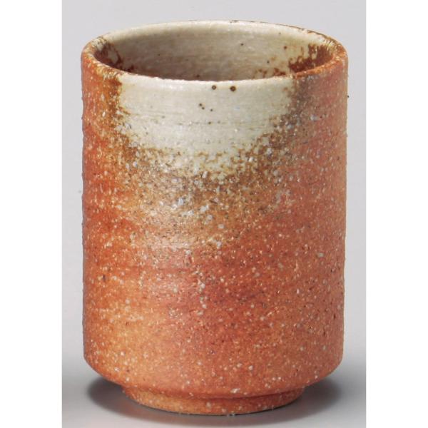  ȂؗہijiMyāj [ 6.5 x 8.5cm 170 ]   aH HX Ɩp