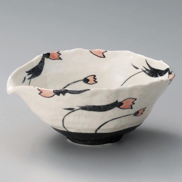  p  قԂЌ[ [ 19 x 17.5 x 8.5cm ] |  aH mH  Ɩp