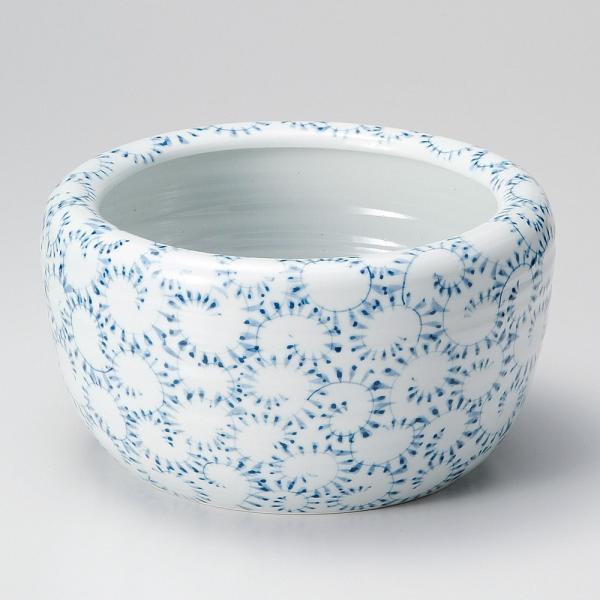    葢蓂p|bg [ 23 x 13.5cm ] y B  aH HX Ɩp z