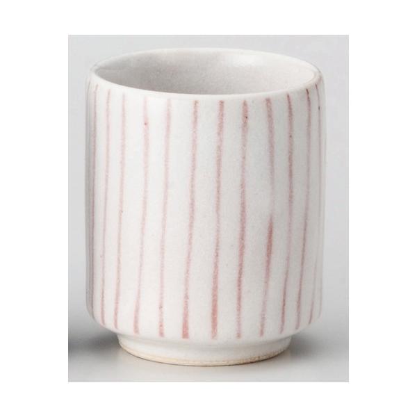  vw  ԏ\̂ [ 6.6 x 7.7cm 180cc ] y  H HX aH Ɩp 蕨 j z