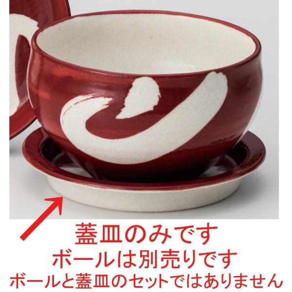  ъ  mdvWcnmrѐԃcot5.0WM [ 16 x 2.5cm ] y  H HX aH Ɩp z