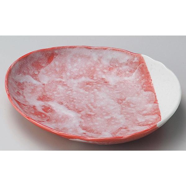  ȉ~M  Ԋyȉ~25.5cmM [ 22.5 x 21.5 x 3.5cm ] | ȉ~M aH mH  Ɩp