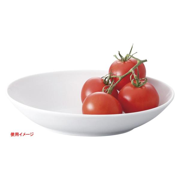  _X^C  X^C2 22cmx[J[ [ 22.2 x 16.4 x 5cm ] y ze Xg mH HX Ɩp  z