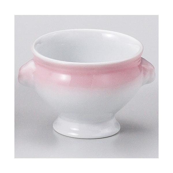  m  sNCIgt() [ 12 x 9.5 x 7.8cm 250cc ] y iX JtF HX mH Ɩp z