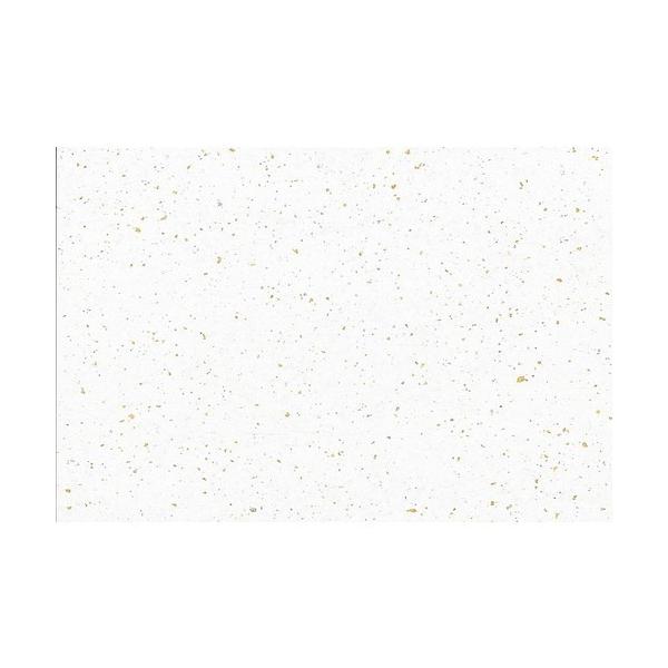  ~  ڎO܂Ƌ_KG-01  100 [ 264 x 390mm ] y HX H  aH Ɩp z