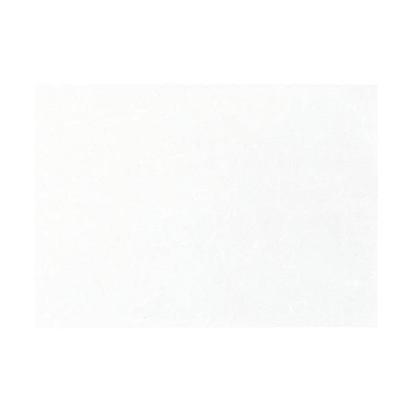  ~  Rs[paCT-01M  A4(}CN~V) 100 [ 210 x 297mm ] y HX H  aH Ɩp z