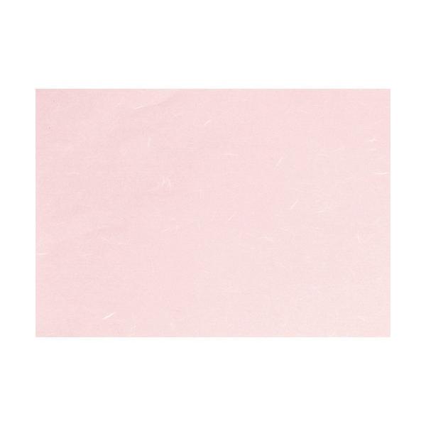  ~  Rs[paCT-16 sN B4 (~Vږ) 100 [ 257 x 364mm ] y HX H  aH Ɩp z