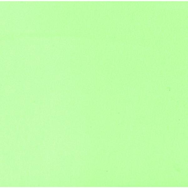  ~  FʑϖTA-C18GN O[ 6 100 [ 18cmp ] y HX H  aH Ɩp z