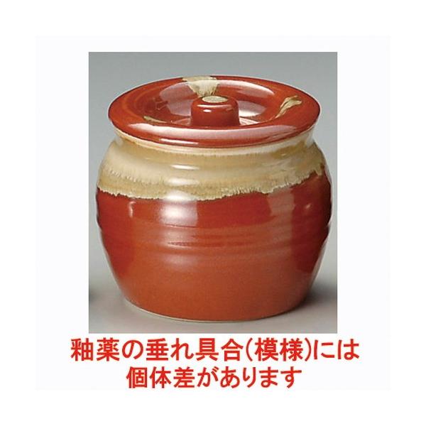  ㏬  ֗5 [ 1200cc ] y HX  H aH Ɩp z