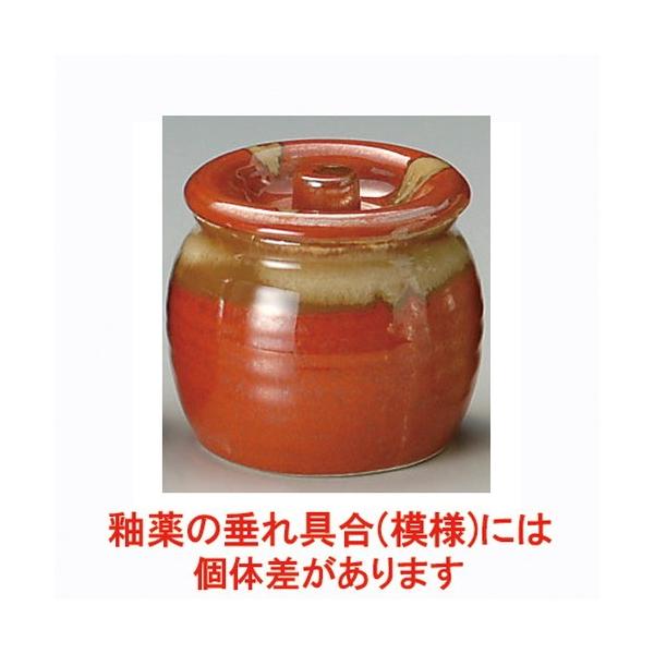  ㏬  ֗1 [ 200cc ] y HX  H aH Ɩp z