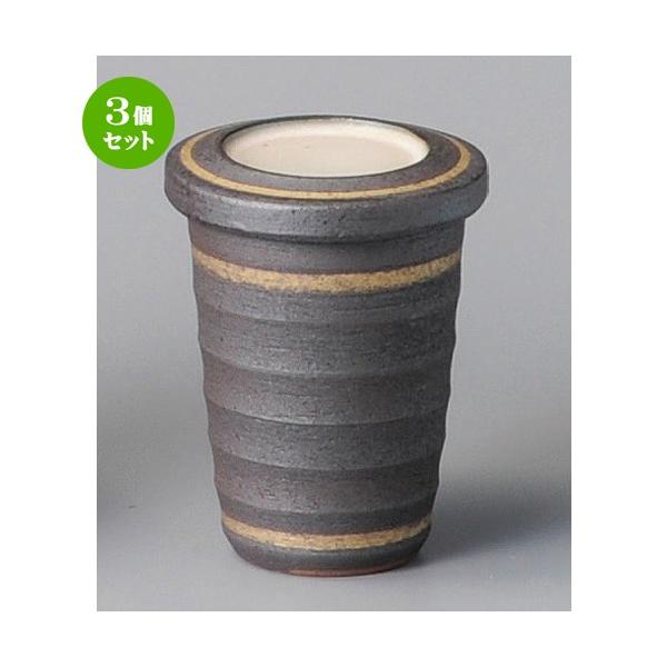 3Zbg  q  킢q [ 65 x 100mmE130cc ] y B aH HX Ɩp z