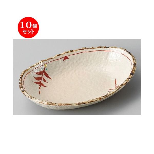 10Zbg  ό`M  D֐ԊG6.0 [ 204 x 137 x 37mm ] | ό`M M aH mH  Ɩp