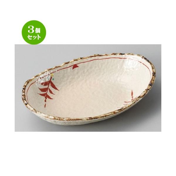 3Zbg  ό`M  D֐ԊG6.0 [ 204 x 137 x 37mm ] | ό`M M aH mH  Ɩp