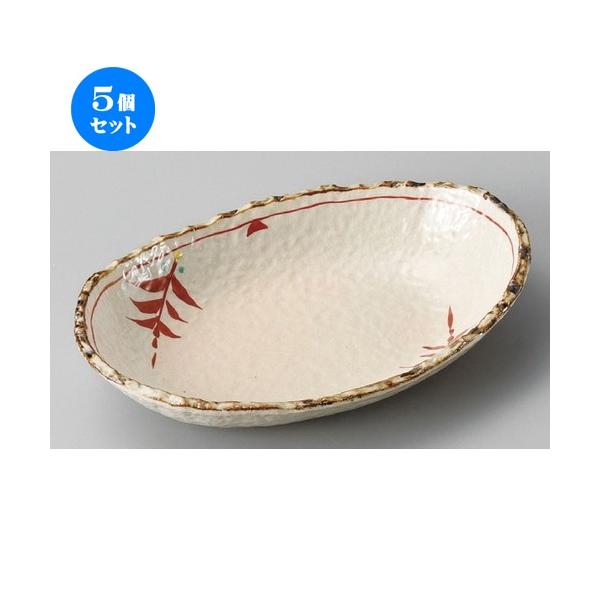 5Zbg  ό`M  D֐ԊG6.0 [ 204 x 137 x 37mm ] | ό`M M aH mH  Ɩp