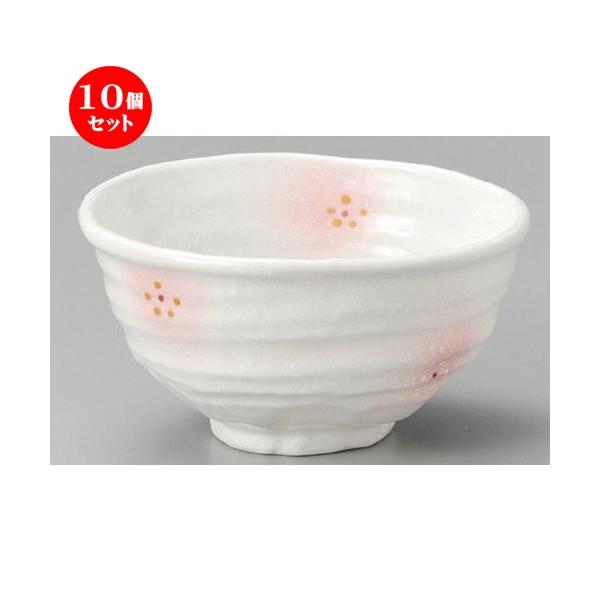 10Zbg    WsN5.5 [ 175 x 165 x 90mm ] y  aH HX Ɩp z