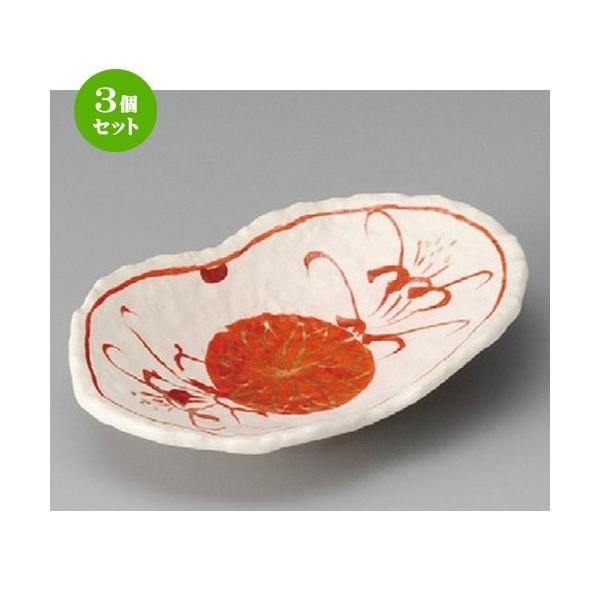 3Zbg    u֑ot [ 174 x 110 x 37mm ]  |  aH mH  Ɩp