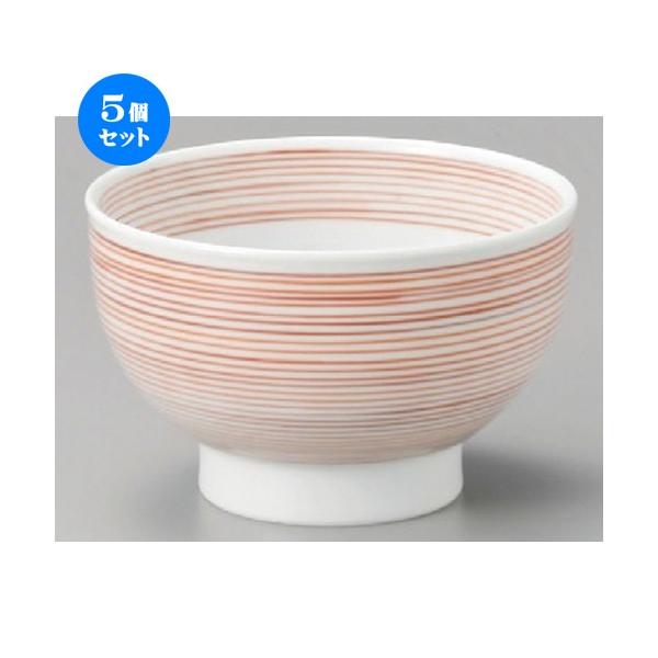 5Zbg    Ԑ؍5.2 [ 157 x 99mm ] y  aH HX Ɩp z