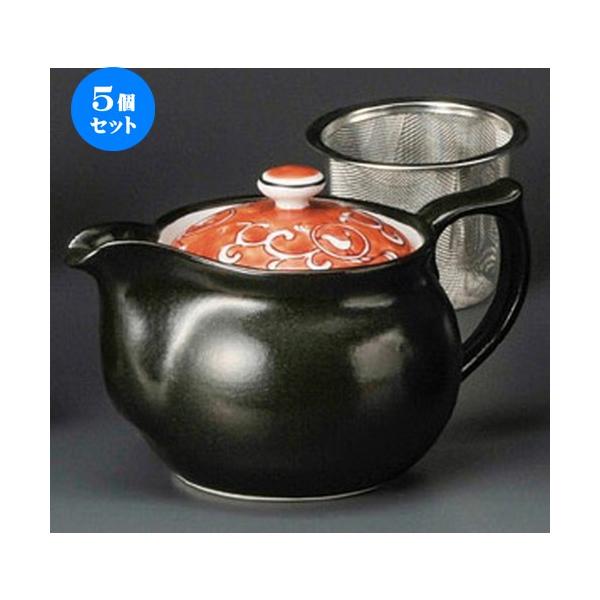 5Zbg  |bg  ԊG|bgiA~tj [ 500cc ] y JtF aH HX Ɩp z