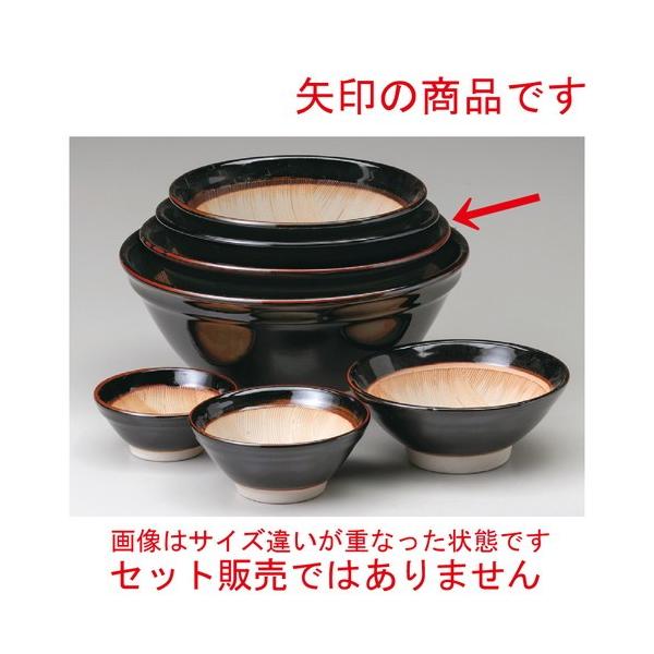  X  Vڔg9蔫 [ 272 x H123mm ] y  aH HX Ɩp z